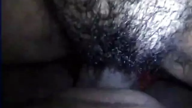 梦想一半没有橡胶，蜜蜂，组装，第六部分 年轻的家庭性