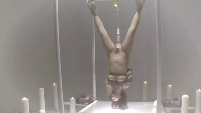 棕色快速的狗屎你的邻居尾巴电梯 黑人夫妇自制的