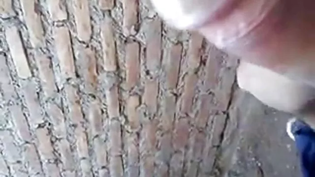 一个假的出租车司机，金发和狗在里面的女人。 孟加拉国村性