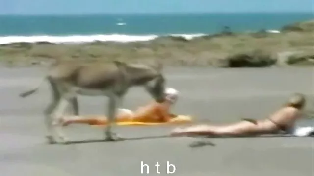 团队性感的所有女孩的战斗 浪漫的自制的色情片