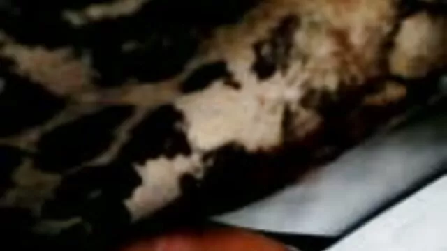 女朋友坐在 自制成熟的女同性恋色情片
