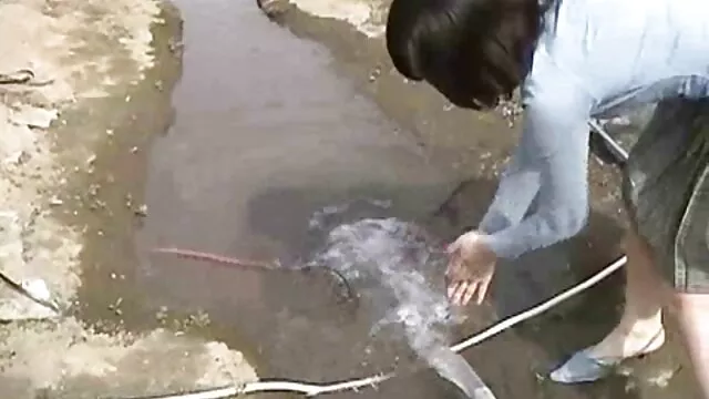 的硬性的意大利女孩 印度的房子性感的视频