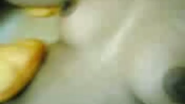 脂肪公鸡飞拉丁猫 自制的性爱故事
